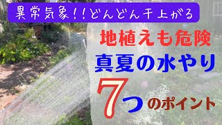 《真夏の水やり注意点７つ》放置は危険！花壇がどんどん干上ります／効率的に水やりしよう／干上がりやすい植物・場所