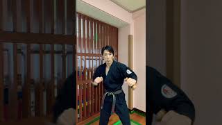 Tonfa Training | Ryukyu kobudo, Okinawa kobudo 🥋🐉 #karate #kobudodemonstration