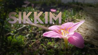 Sikkim, natural beauty promo video