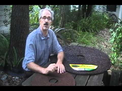 Rubber Mulch Tree Ring Vs Coco Fiber Tree Ring Rubber Mulch Tree Ring Vs Coco Fiber Tree Ring