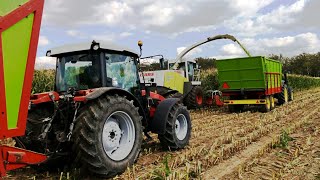 Koszenie Kukurydzy na Kiszonkę 2017 ! ||Claas/John Deere/Same/Ford/Fortschritt||Wielkopolska