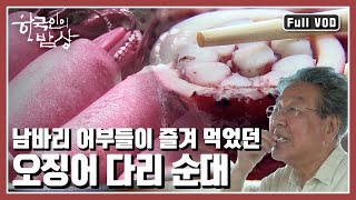 [한국인의밥상★풀버전] 오징어와 멸치를 쫓아 동해에서 서해로~ 육지에서 섬으로~  | “물고기 떼를 따라 유랑하다, 바다 유목민 밥상” (KBS 20170817 방송)