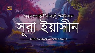 অন্তর শীতল করা কণ্ঠে সূরা ইয়াসীন  سورة يس ┇ Surah Yaseen Recited by Omar Hisham Al Arabi