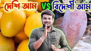 দেশি আম Vs বিদেশী আম || Rongdhonu Garden ||