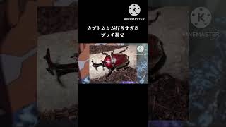 カブトムシが好きすぎるプッチ神父