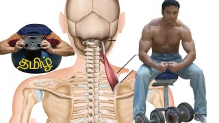 Neck Pain Exercises - Tamil