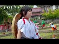 rice planting festival at taga taisha shrine deep japan by the licensed tour guide 多賀大社