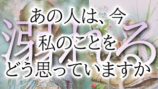 忖度\u0026アゲ鑑定なし👋リアルで一部辛口あり⚠️タロット恋愛占い🧚片思い複雑恋愛の相手の気持ちを深掘りカードリーディング