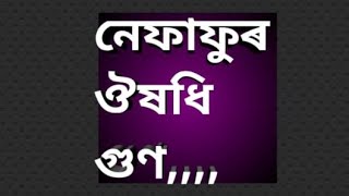 নেফাফু আরো ইয়ার ঔষধি গুণ nefafu aru iyar upokarita