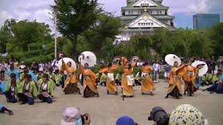 朱蘭「榮」　こいや祭り2017　天守閣会場