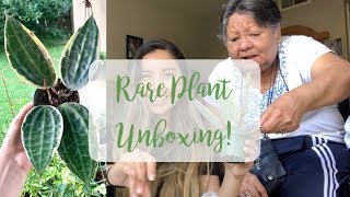 Hoya Unboxing With My Grandma! | Theplantfarm