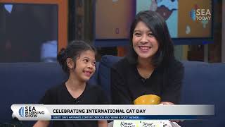 Celebrating International Cat Day with Poco