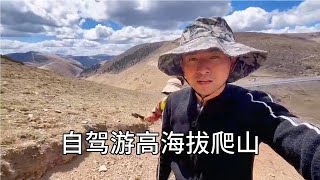 在理塘爬山去看看风景，适应一下高海拔。好多牦牛，风景不错。