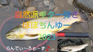 北海道 渓流釣り 釣り開始直後釣れたデカい魚