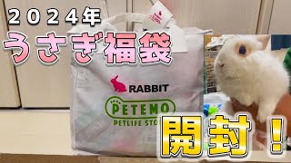 【福袋】うさぎ用福袋を買ったらお得過ぎた【うさぎ】【ペット】【rabbit 】【cute bunnies】