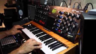 ELP | From The Beginning | Moog Voyager Synth Patch attempt.