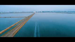 DJI MG-1P over paddy fields in Spain.