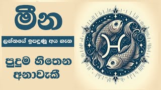 මීන ලග්නයේ ඉපදුණු අය ගැන පුදුම හිතෙන අනාවැකී Pisces Astrology strengths and weaknesses / Meena Lagna