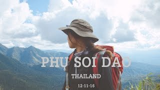 HIKING PHU SOI  DAO THAILAND MOUNTAIN [เดินป่า ภูสอยดาว ประเทศไทย]