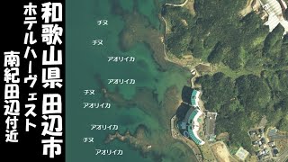 【和歌山県田辺市】『ホテルハーヴェスト南紀田辺付近』の海釣りガイド