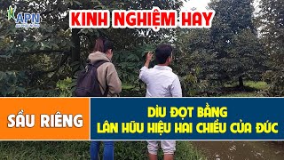 APN - HƯỚNG DẪN CHI TIẾT CÁCH \