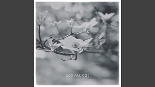 Dogwood