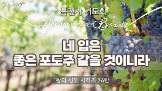 [생방송] 네 입은좋은 포도주 같을 것이니라 / 왕의 신부 시리즈 76탄 / 특전사 작전실 기도회/ 온라인 생방송 기도회