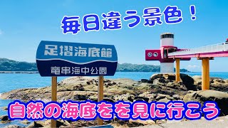 天然ミュージアム・足摺海底館