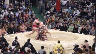 激戦！　4K動画 大相撲 三月場所　大栄翔/佐田の海　 高画質 sumo　十二日目　2017.3.23