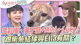 王彩樺、黃于庭+Mini、Lucy！跟柴柴結緣與Ella有關？說好的灰貴賓其實是黑的？！女人我最大 20230828