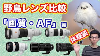 【選び方／画質・AF】超望遠レンズの焦点距離/150mm〜600mm【野鳥撮影】