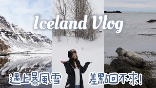 冰島VLOG Ep.2｜冰島九天八夜自駕、遇上暴風雪、一路道路封鎖、超好吃肉桂捲、藍湖泡溫泉