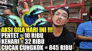 PALING GILAA !!! AKSI NEKAD KIOS ALHAMDULILLAH OBRAL RATUSAN BURUNG HARI INI DIBAWAH HARGA PASARAN