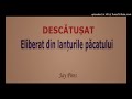 descătușat 015 eliberat din lanțurile păcatului de domnul isus hristos jay pires