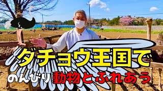 ダチョウ王国でのんびり動物とふれあう　＃096