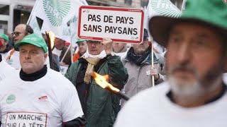 Agricoltori: tensione a Parigi, Macron costretto a un incontro con pochi manifestanti