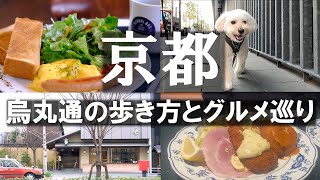 京都 烏丸🐕地元民が街を歩いて美味しいものをいろいろ食べる！マルプー 京都グルメ 京都旅行 京都観光