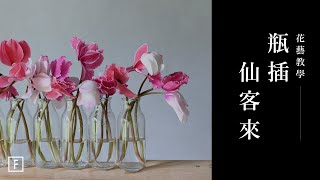 超仙氣獨特花材，簡單牛奶瓶妝點瓶插「仙客來」｜花藝教學｜花裡 FORi Flower