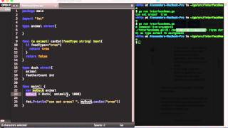golang 11 - interfaces