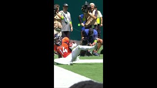 Courtland Sutton catches for a 12-yard Touchdown vs. Miami Dolphins