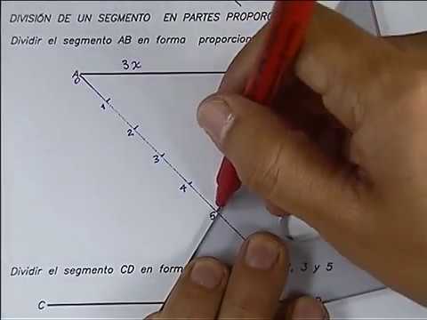 División De Un Segmento En Partes Proporcionales - YouTube