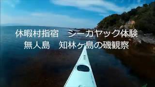 休暇村指宿　シーカヤック体験　知林ヶ島磯観察