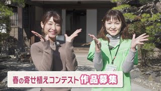 #410 さがCテレビ「春の寄せ植えコンテスト作品募集」篇