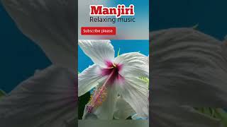 Manjiri Relaxing #sleepmusic #medition #naturesoundmusic  #shortfeed