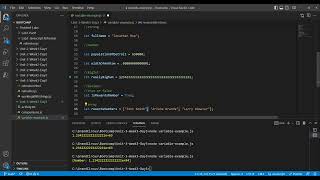 Unit 3 - Javascript Variable Types