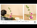 花の定期便　生け方動画　芽出し木苺（メダシキイチゴ）　カーネーション　スイートピー　ブルースター