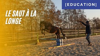 [ Education ] - Comment apprendre au cheval à sauter correctement en longe ?