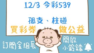 539｜12月3日｜金組長｜今彩 539｜539 開獎｜539 版路