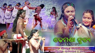 Dhemsa dance || Rayagada dance group || Boudh mahotsav 2020