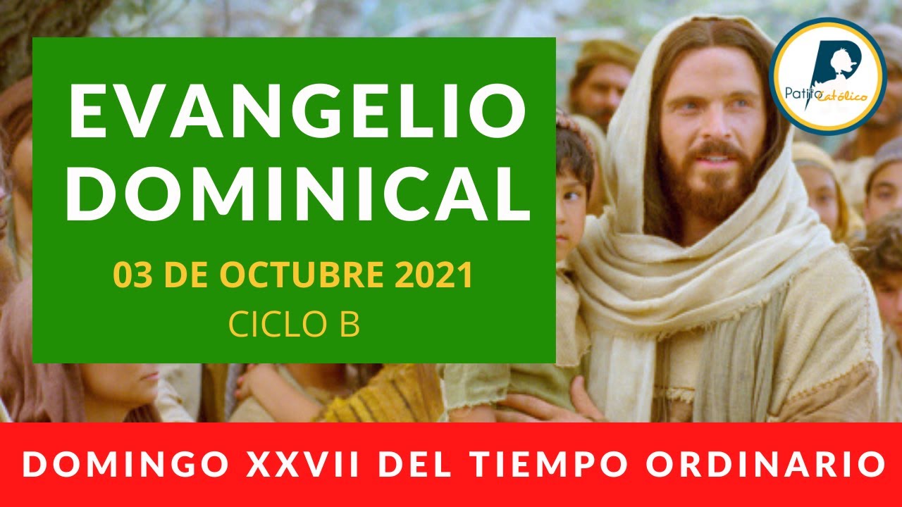 ️ Reflexión Del Evangelio Del Domingo XXVII Tiempo Ordinario - CICLO B ...